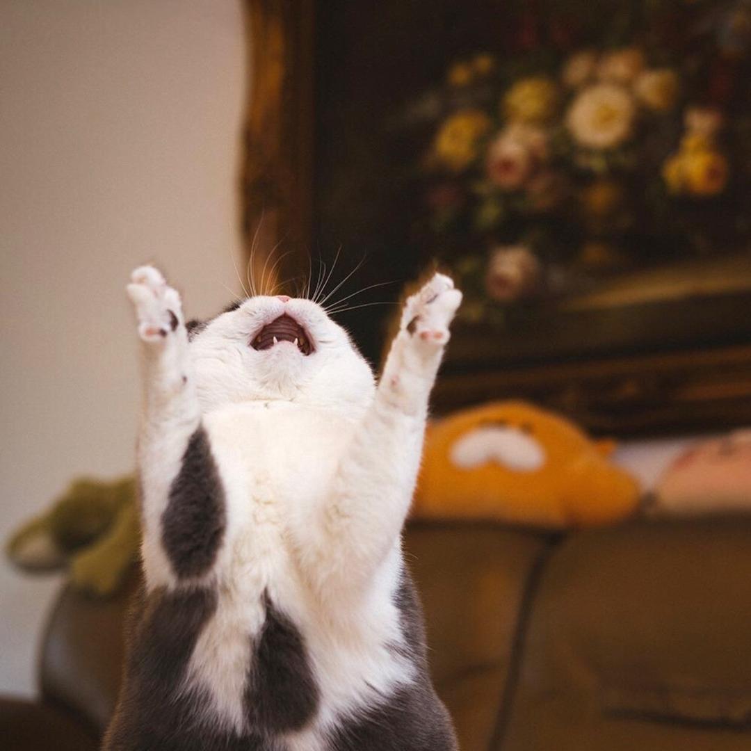 667（去过三巡）