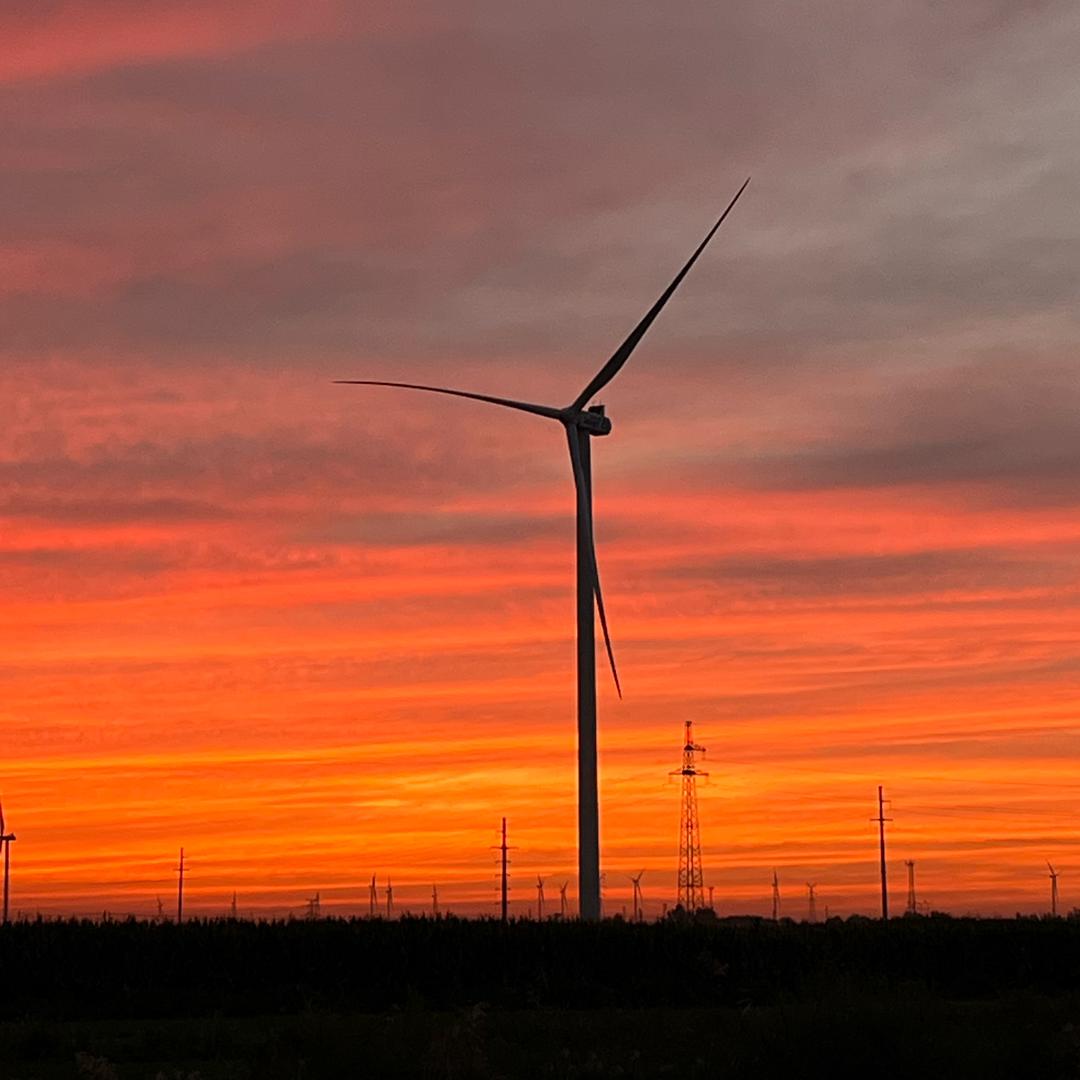 梅子熟时栀子香