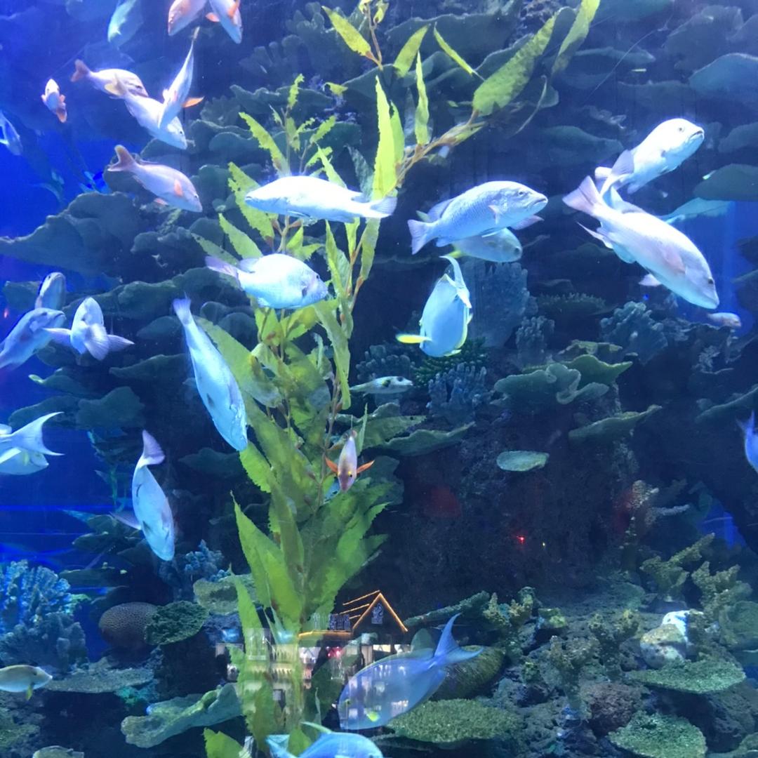 油条蘸咖啡