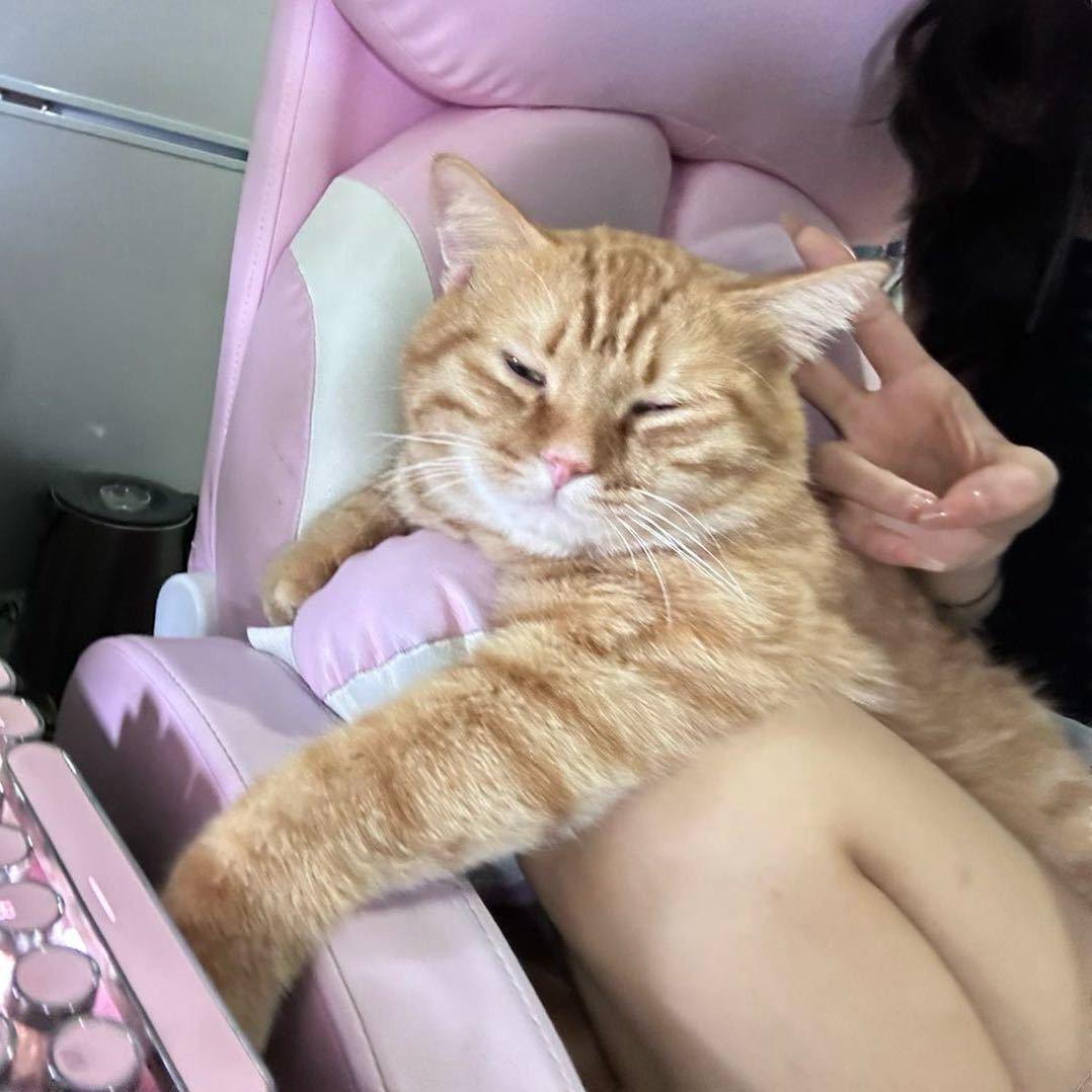 小倩爱摸鱼