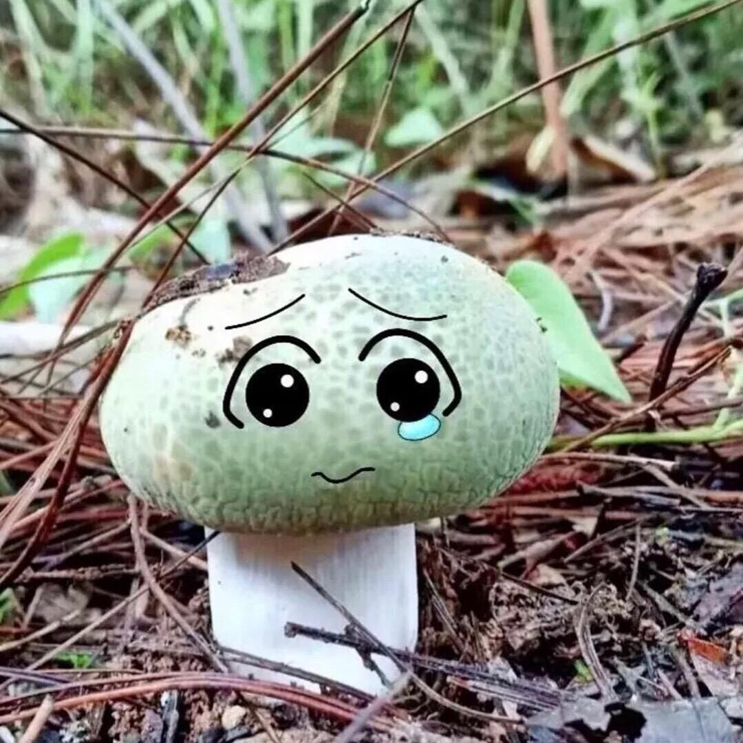 🧐醉逍遥