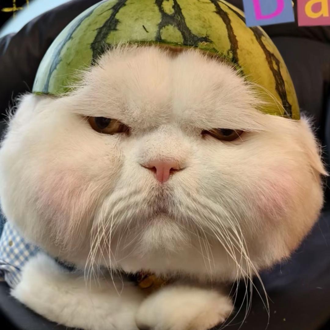 有亿点想李