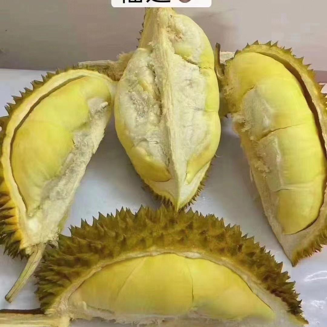 榴老鲜生（有鱼）