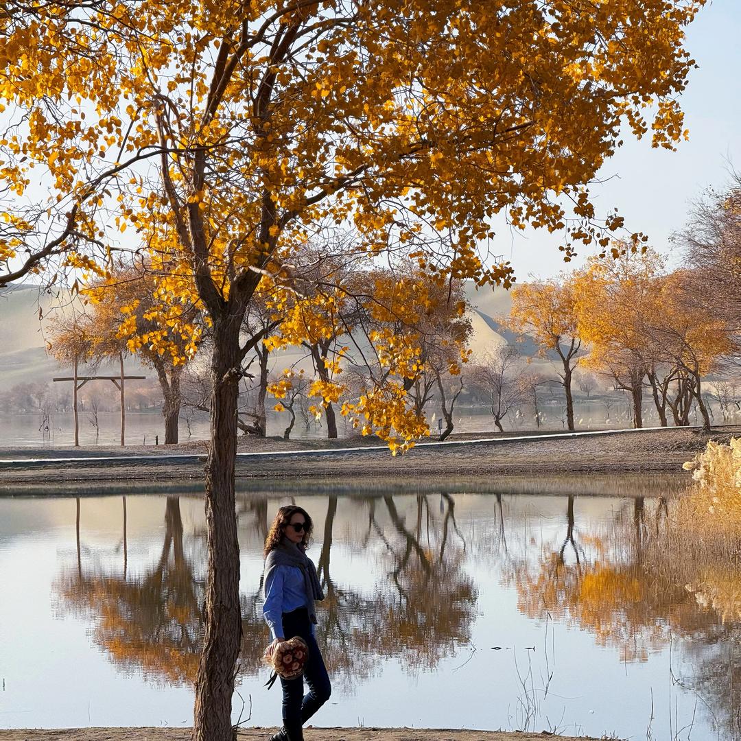 小艾助农-新疆包邮