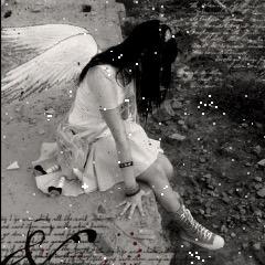 ╭❀(心动🍎初雪时)❀╮