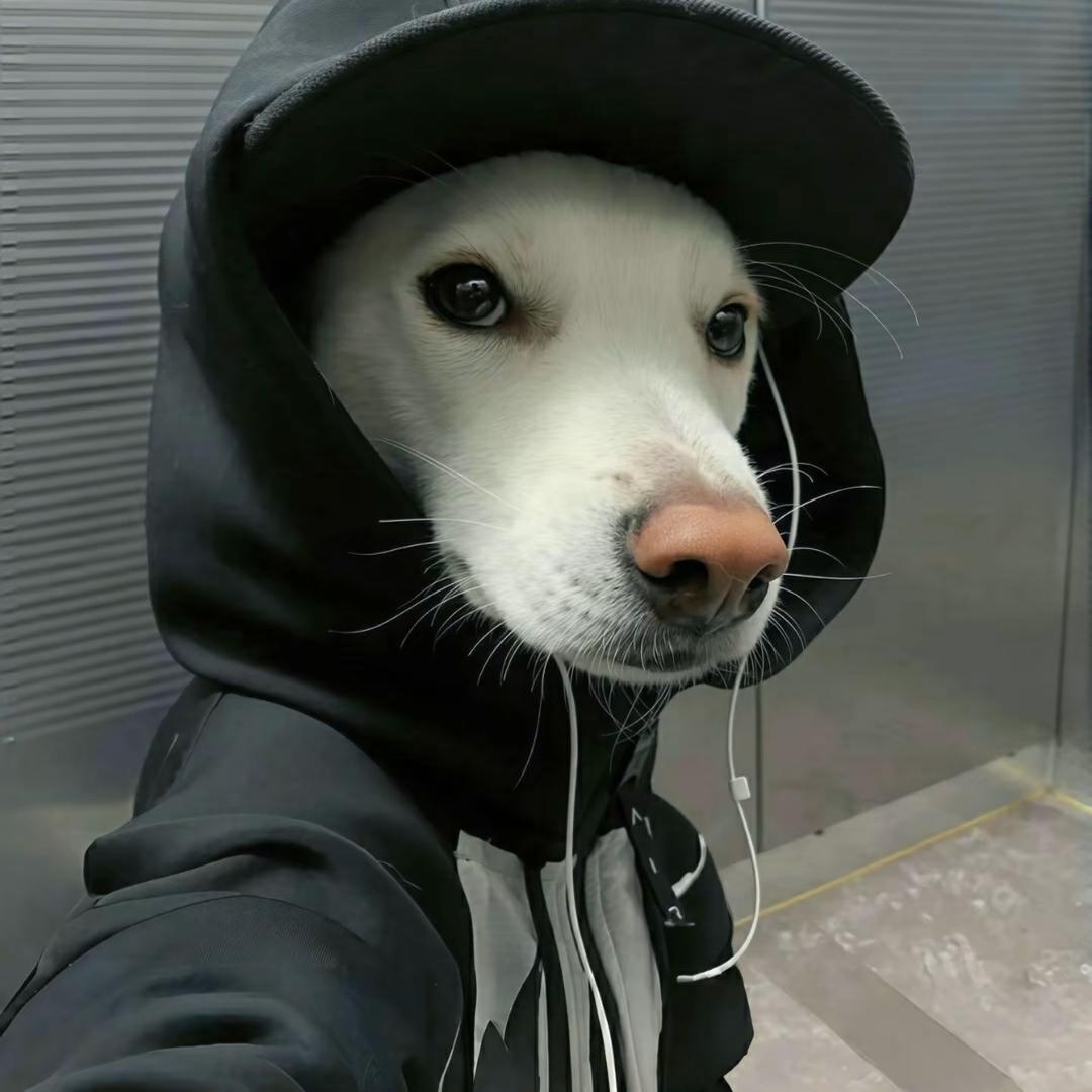 会什么亮