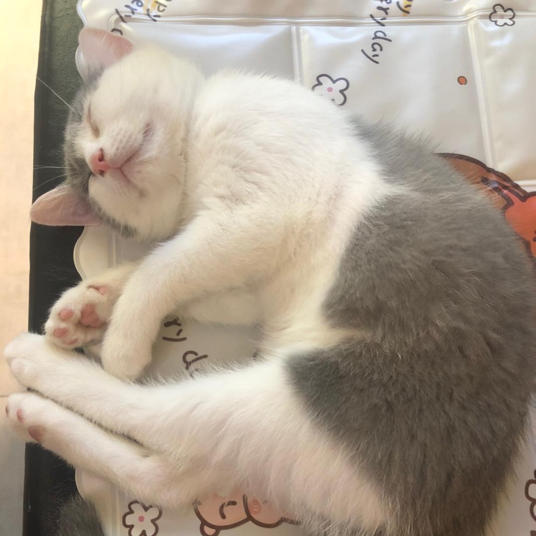 落落