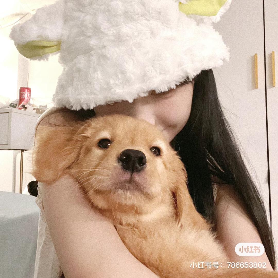 Z Jia.X
