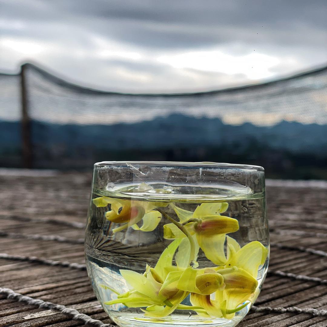丽萍深山好物
