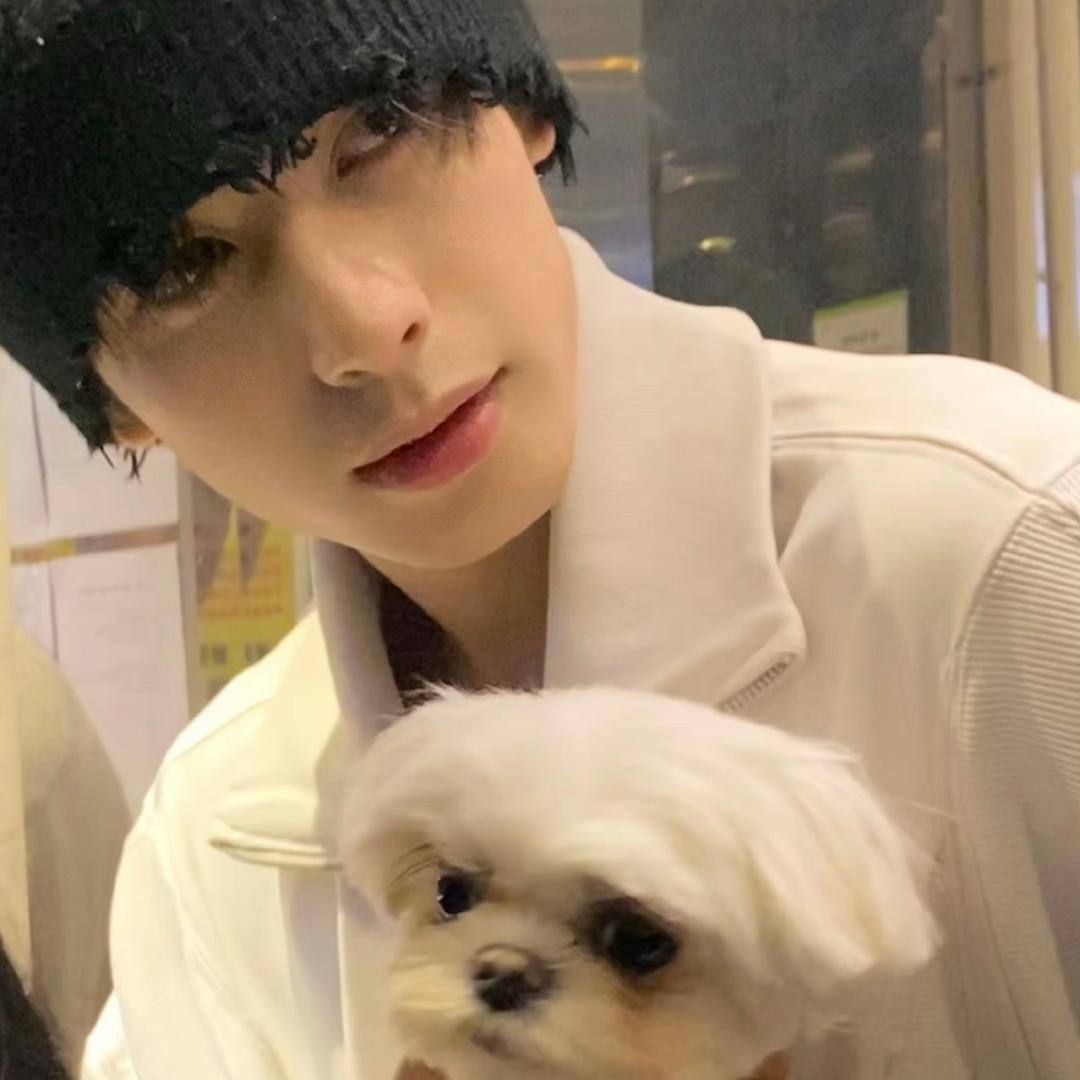 别皱眉 ㅤㅤㅤㅤㅤㅤㅤㅤ