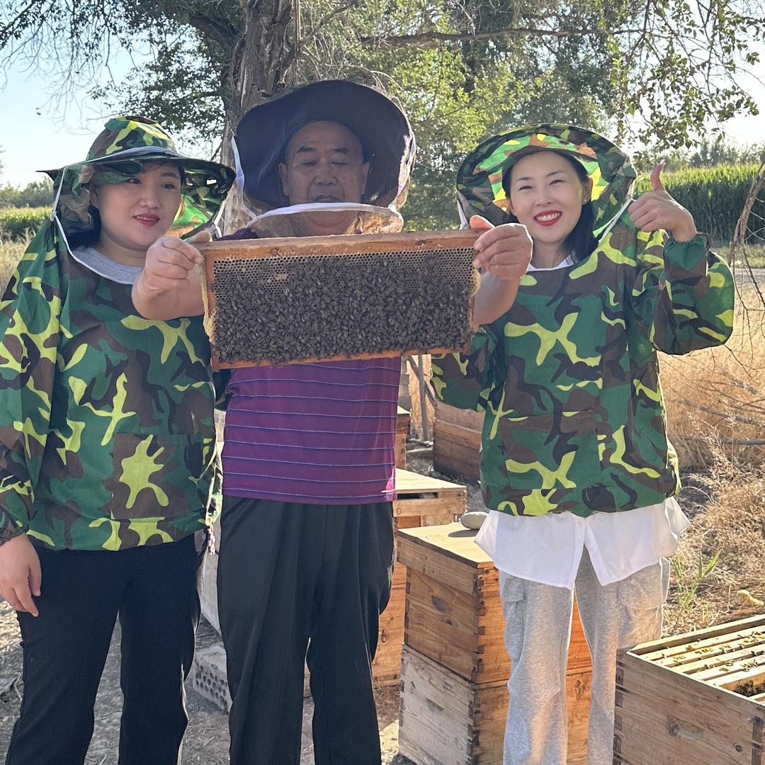大燕家新疆土蜂蜜