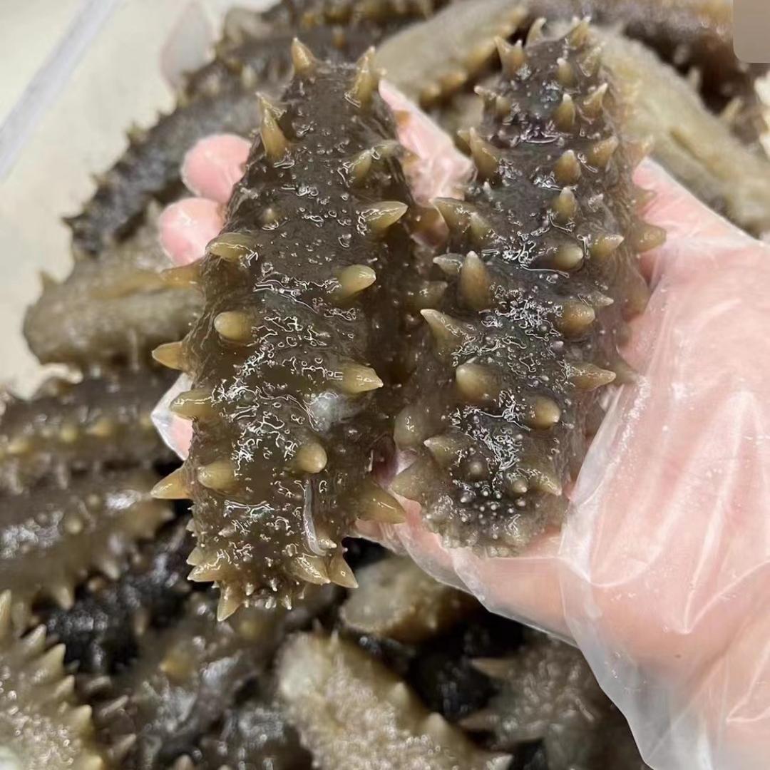 一家人海参
