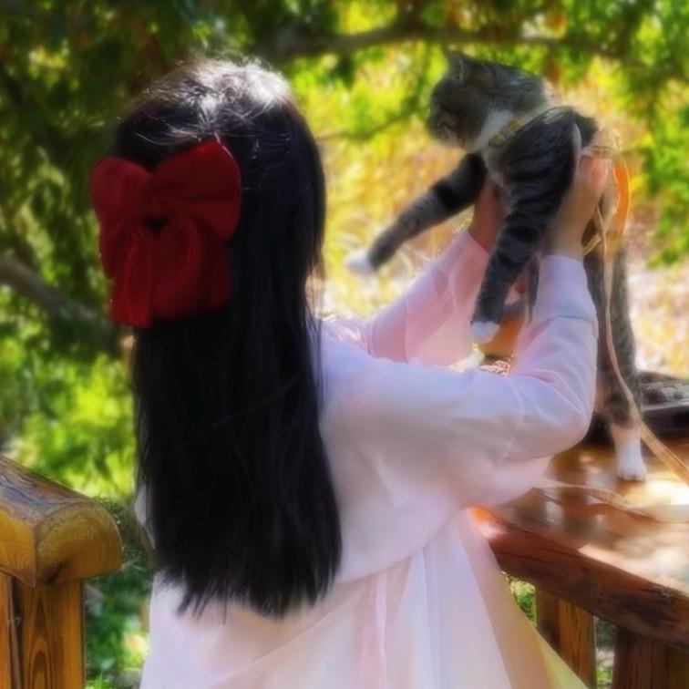 夏府九只猫