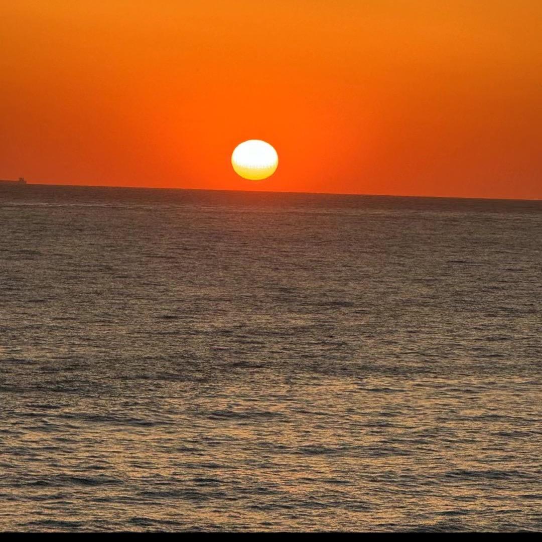 @不能错过的只有你