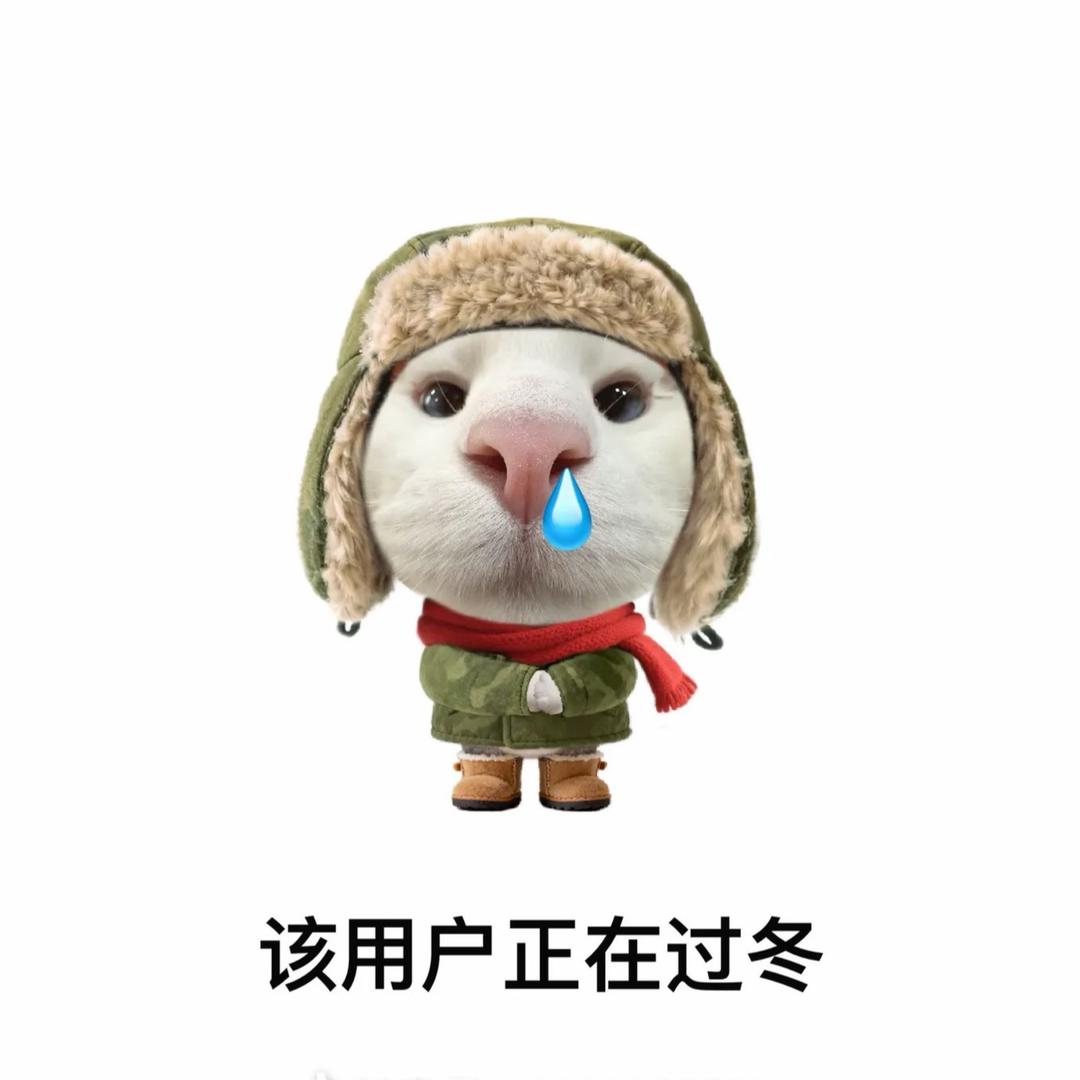 ʚ加冰美式ɞ