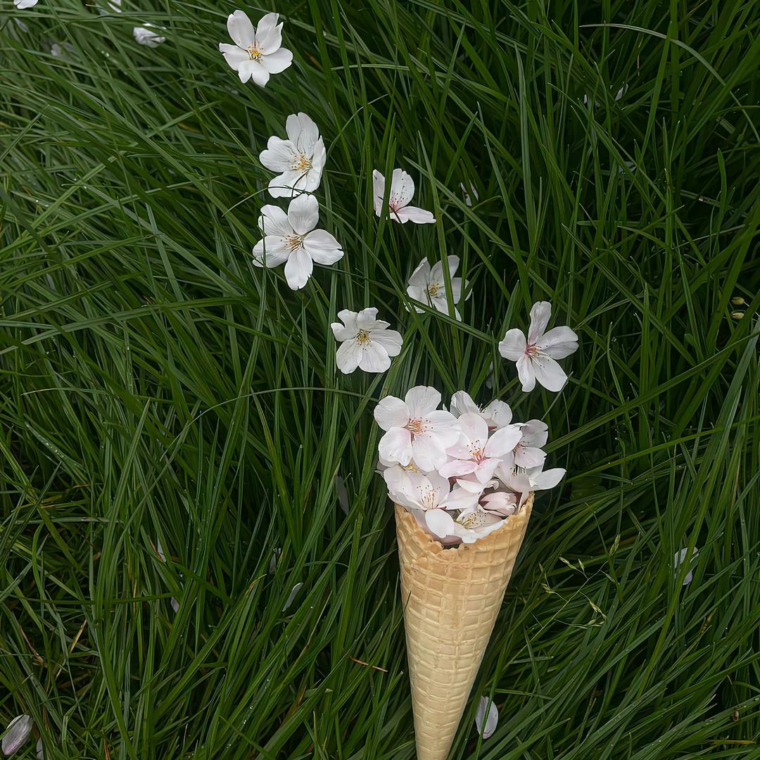 简宁Nini
