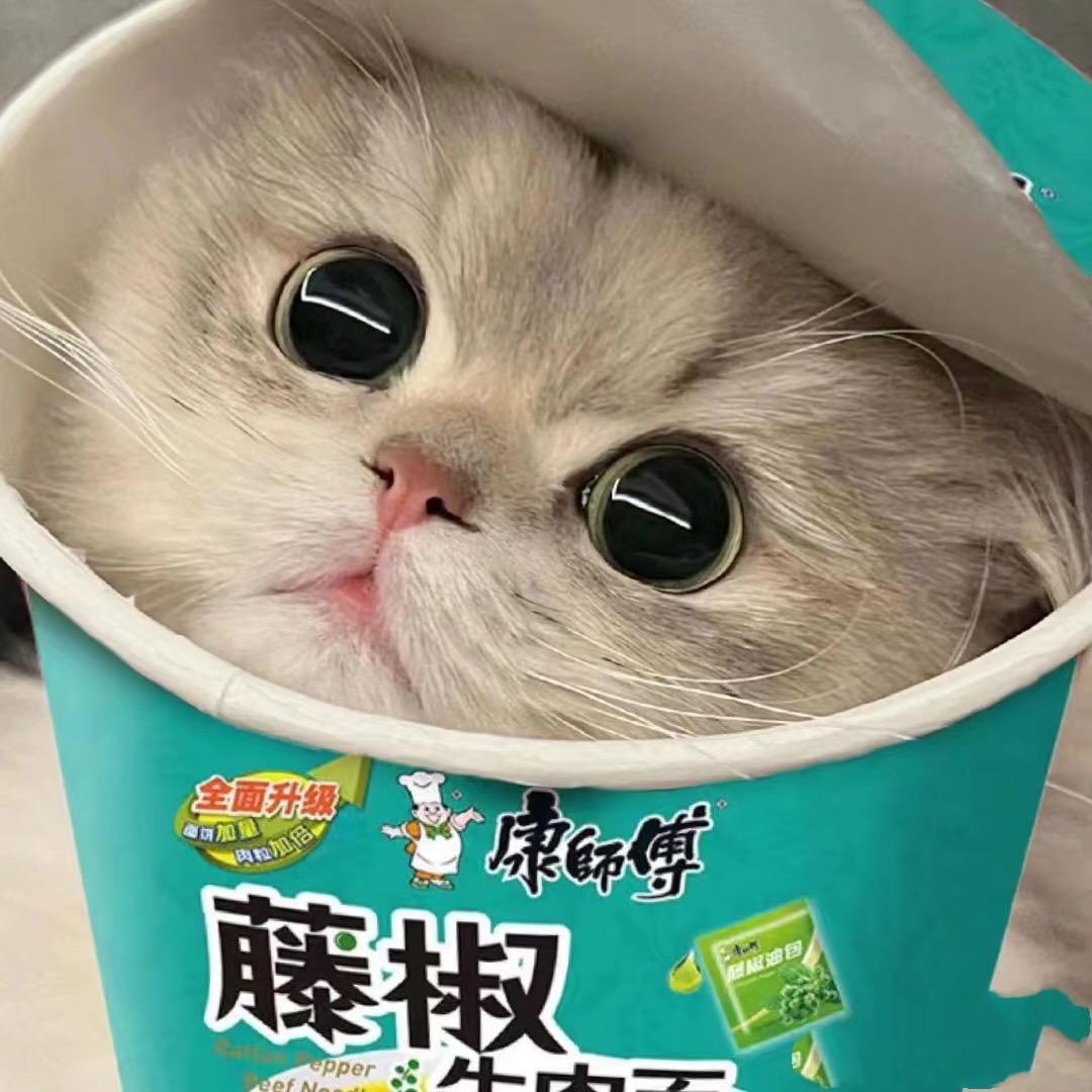 清᳐秋᳐੭🐝