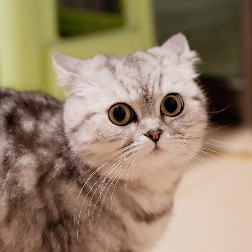 美滋滋的微波炒饭