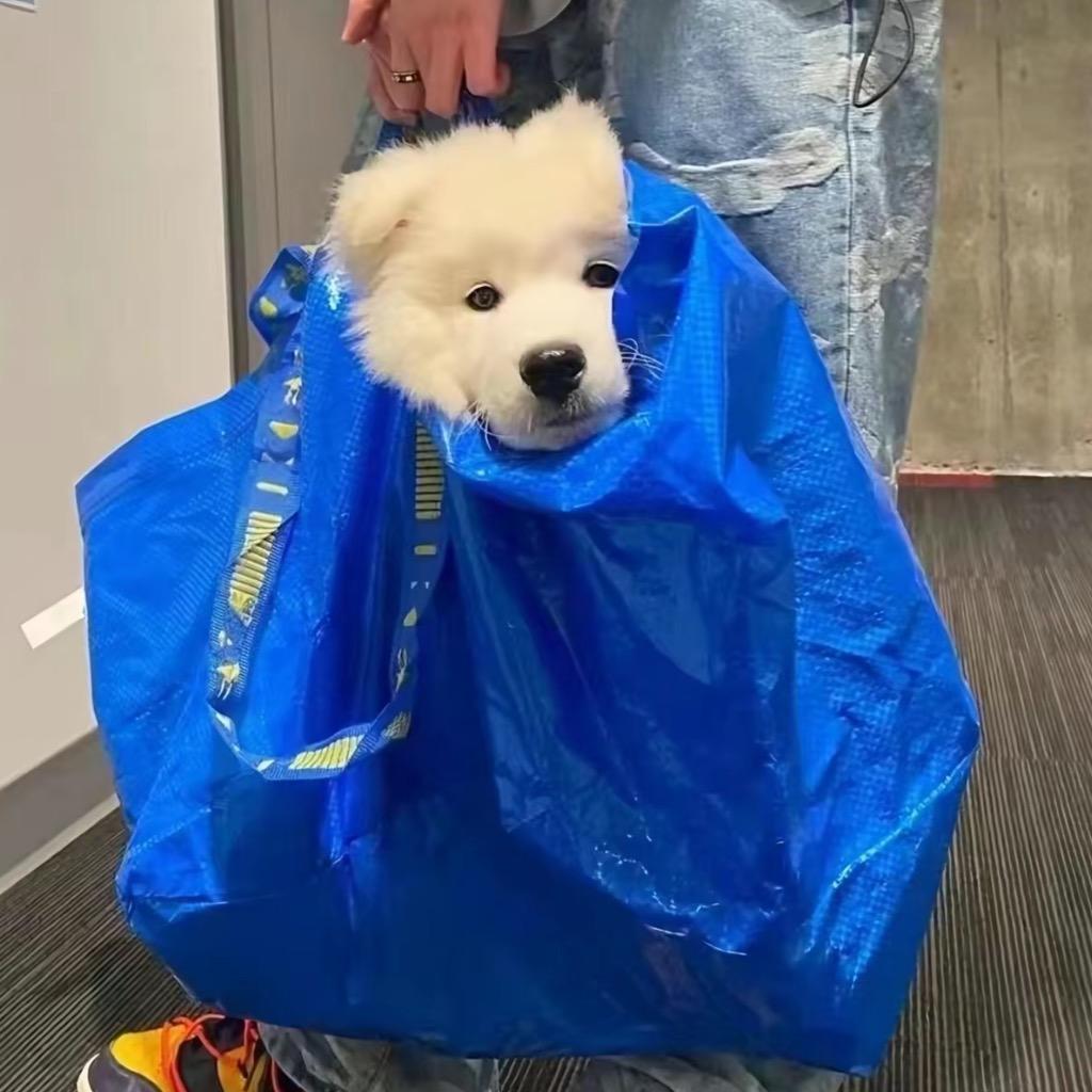 哎呀我真那
