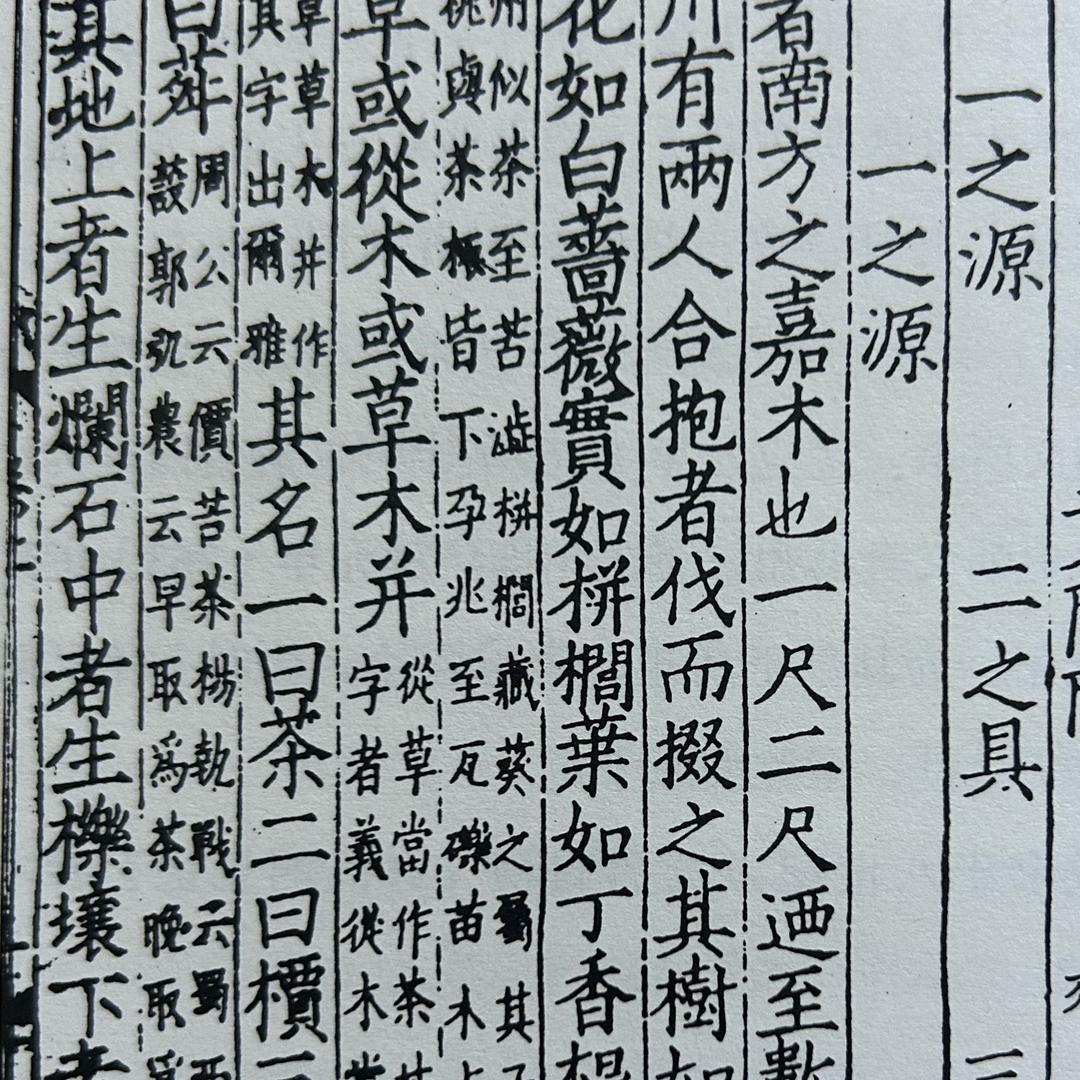 茶半盏