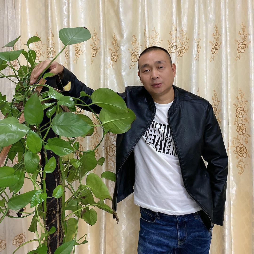 光头哥