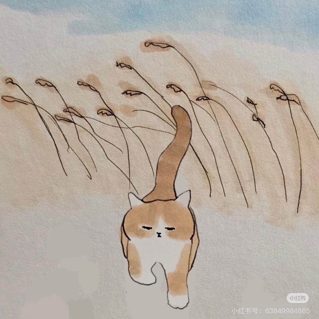 猫e