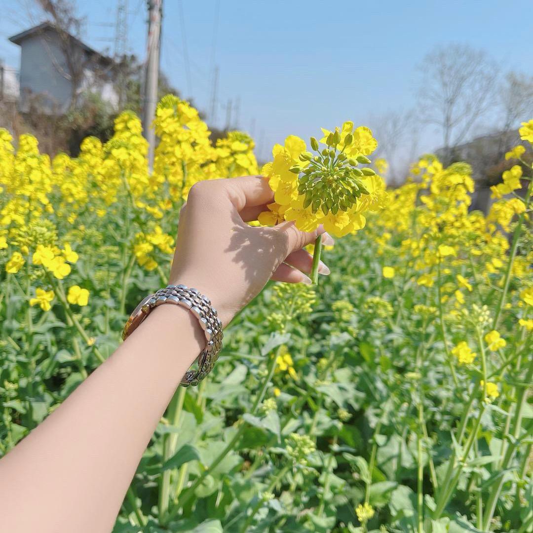 এ᭄雨馨꧔ꦿ᭄ 🌹
