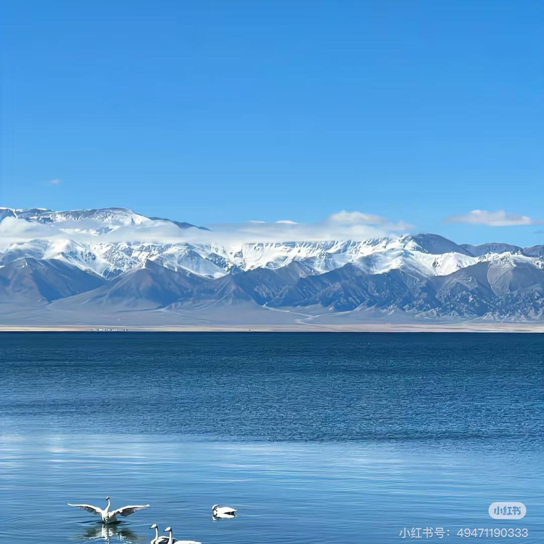 原单麦麦