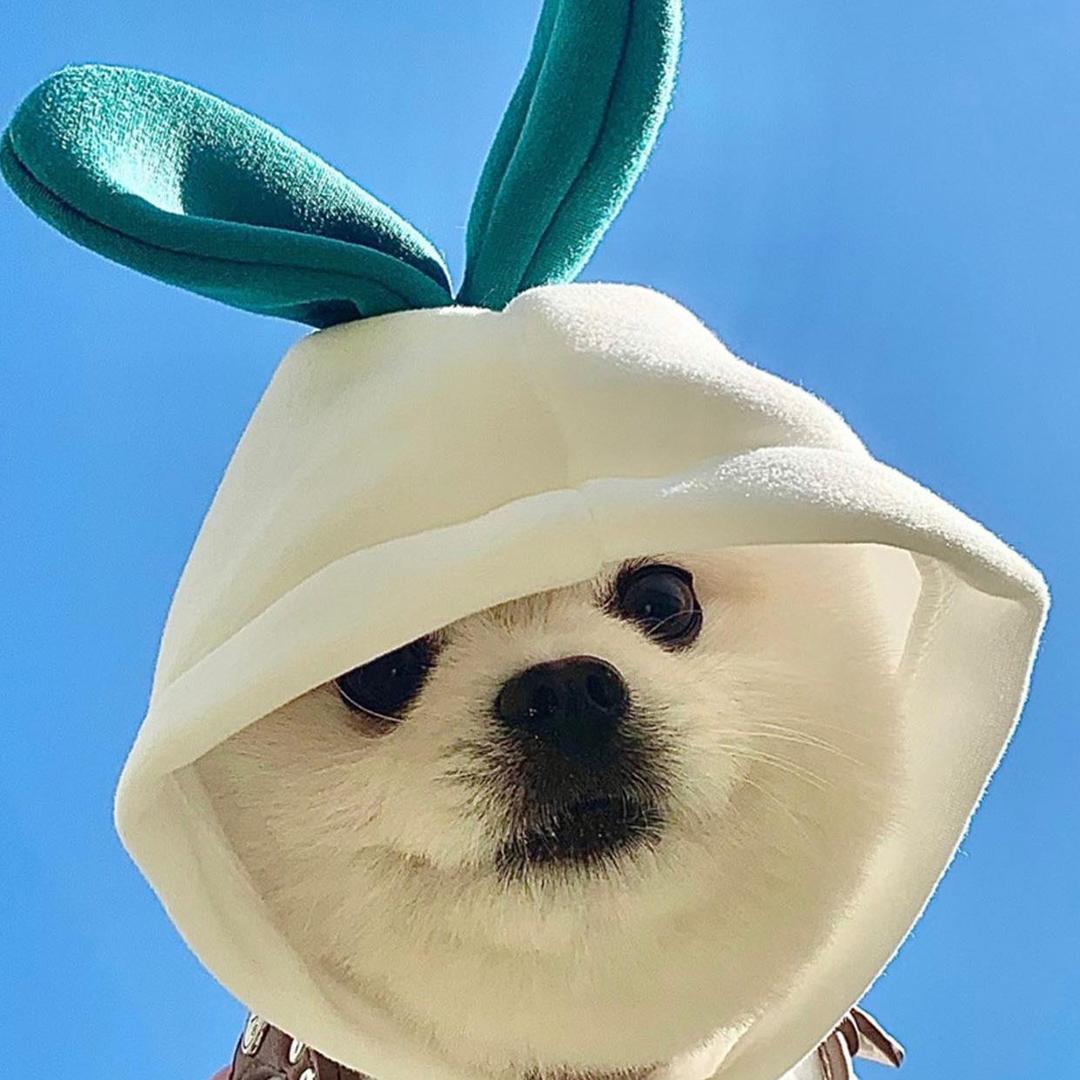 🌈痞子一生浪🌈