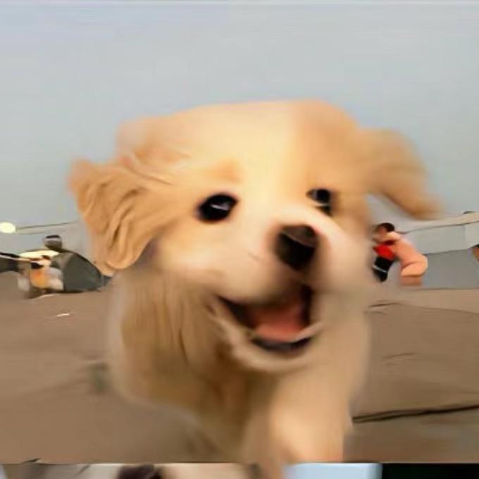 🥟