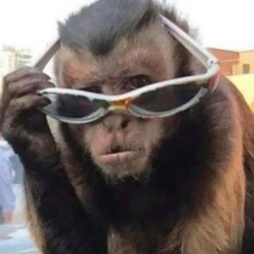 精神病院在逃人员