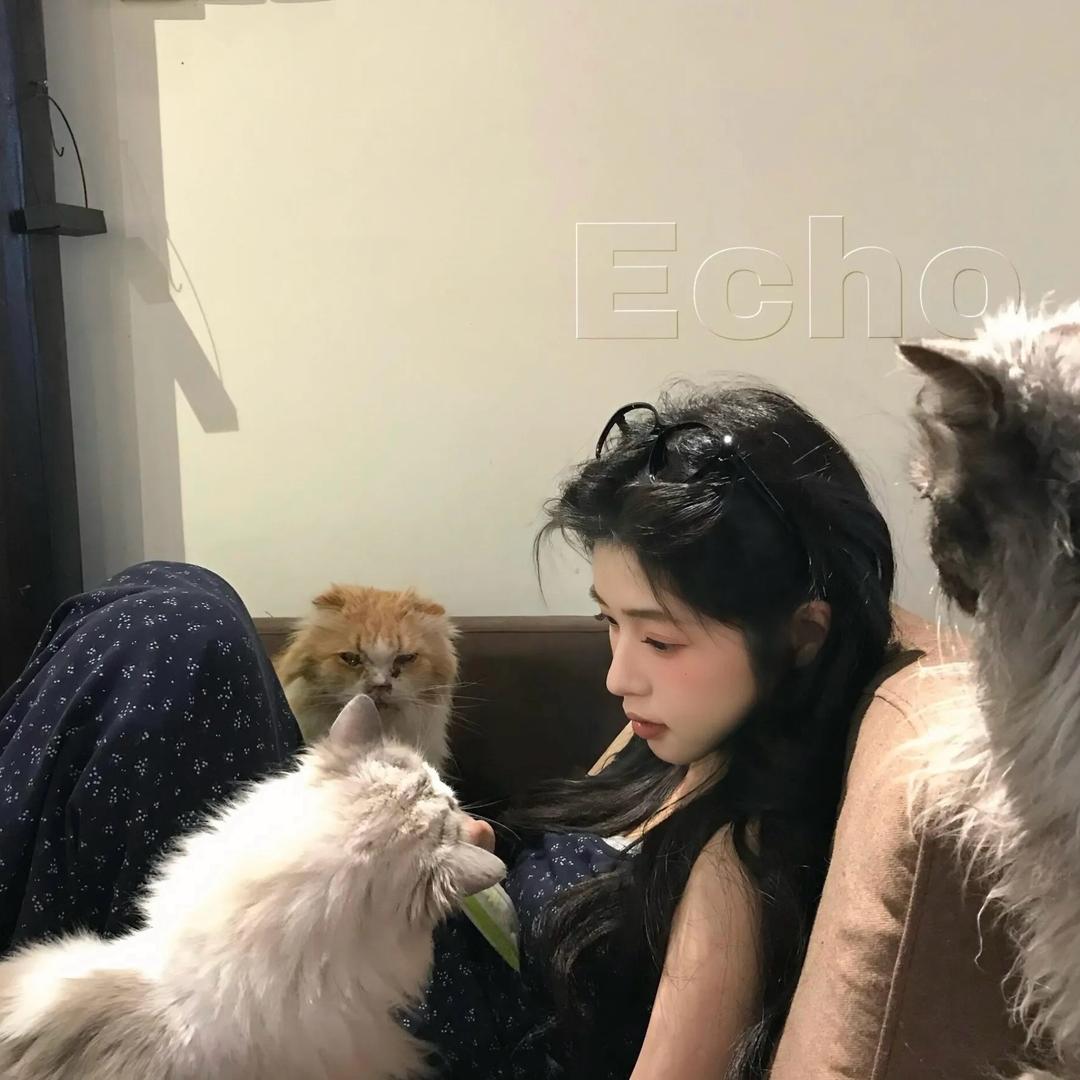 楠桉长在洱海边