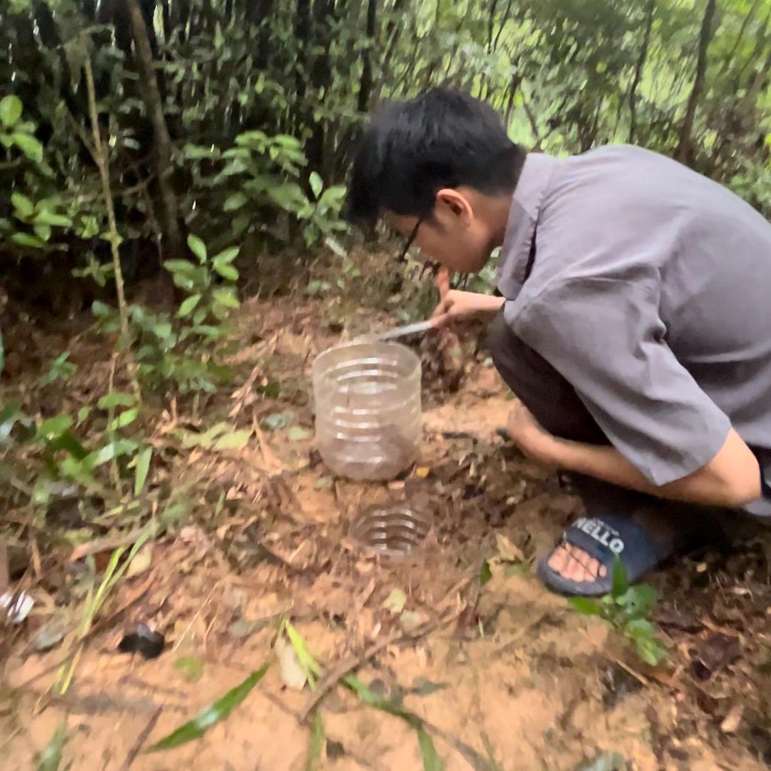 捉蜈蚣小李