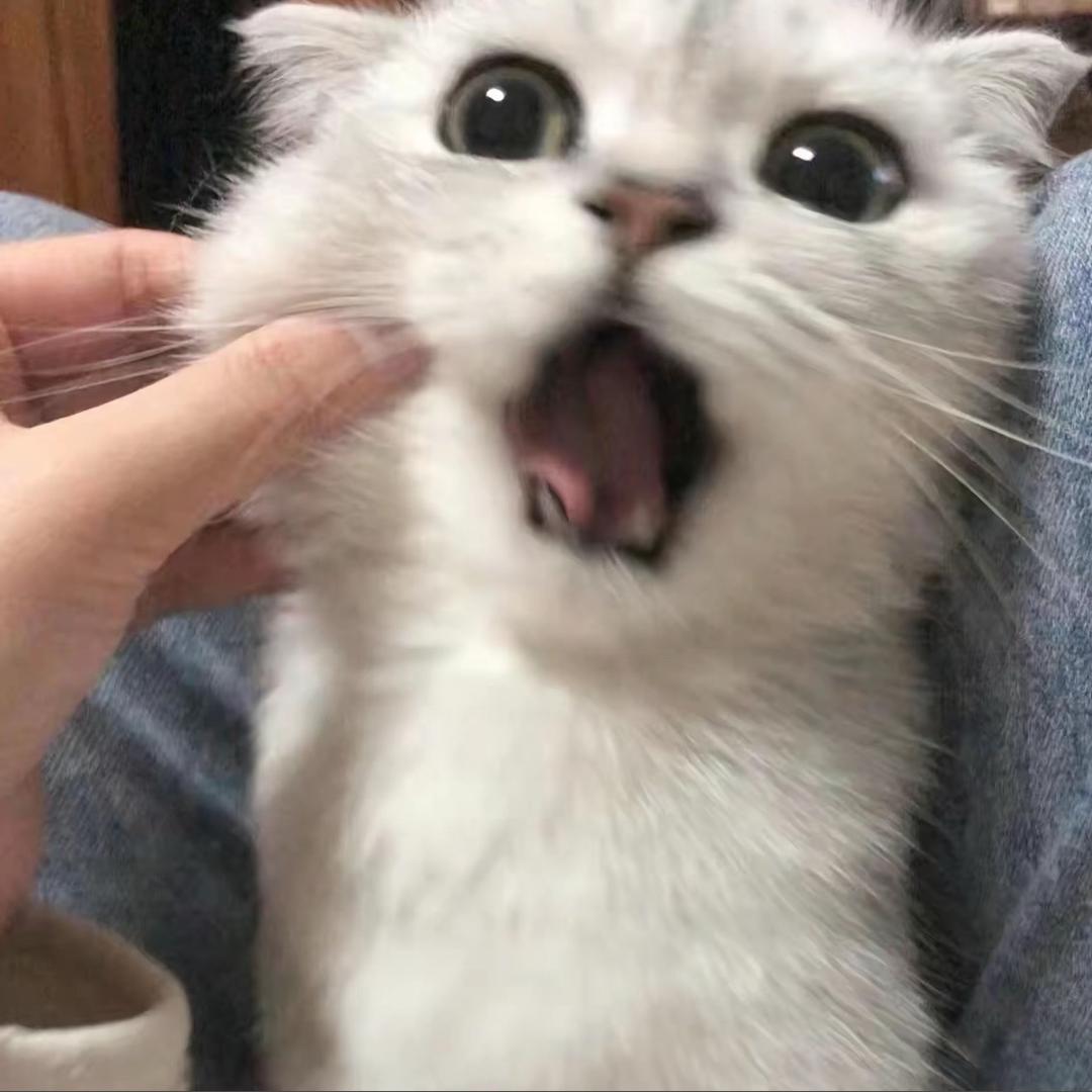 东方树叶