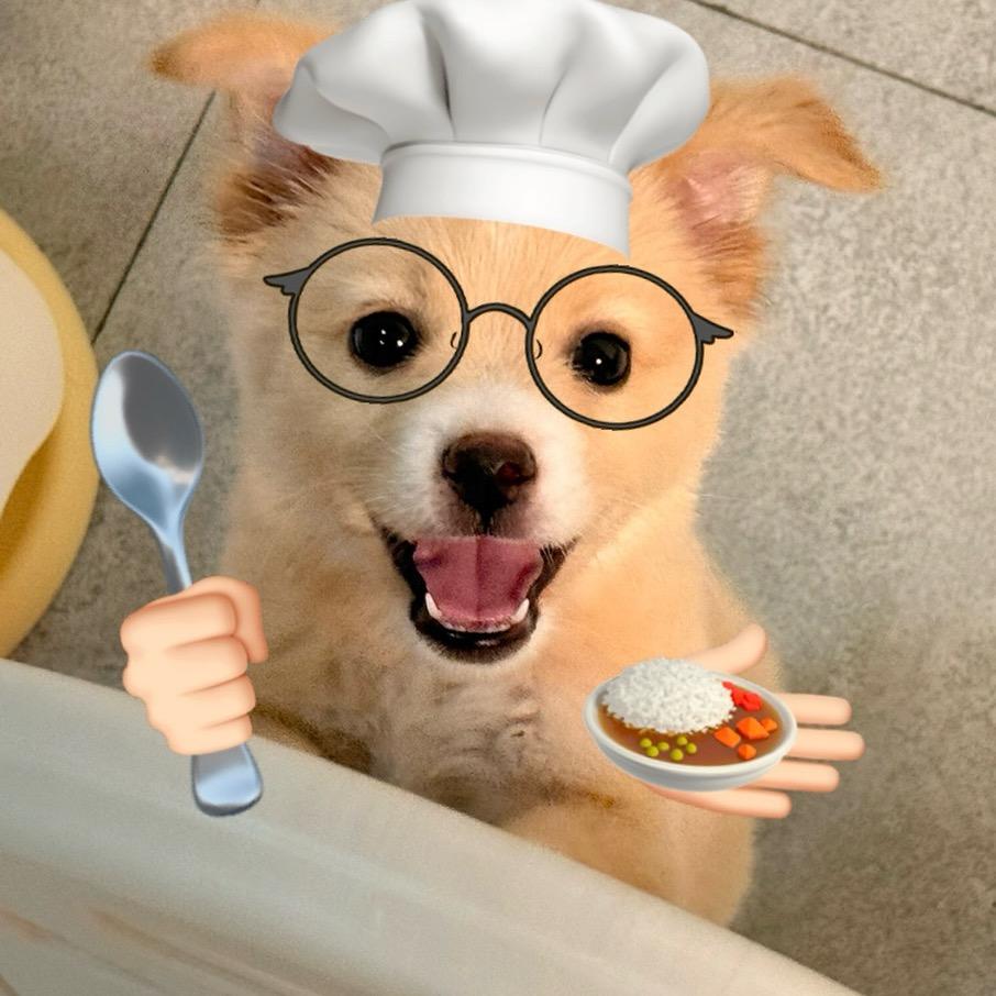 十七🐶