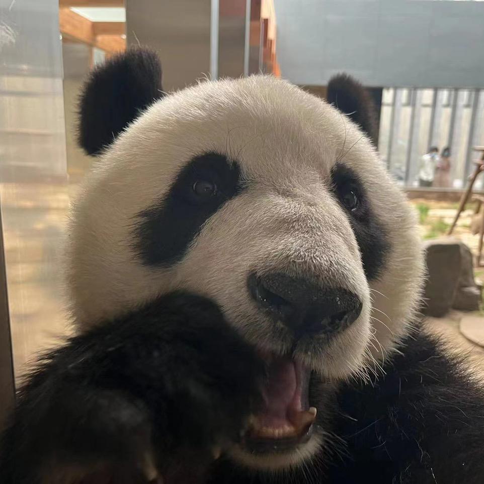 驴肉火烧夹板肠