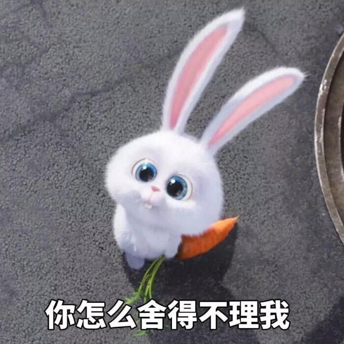 兔兔酱爱吃肉