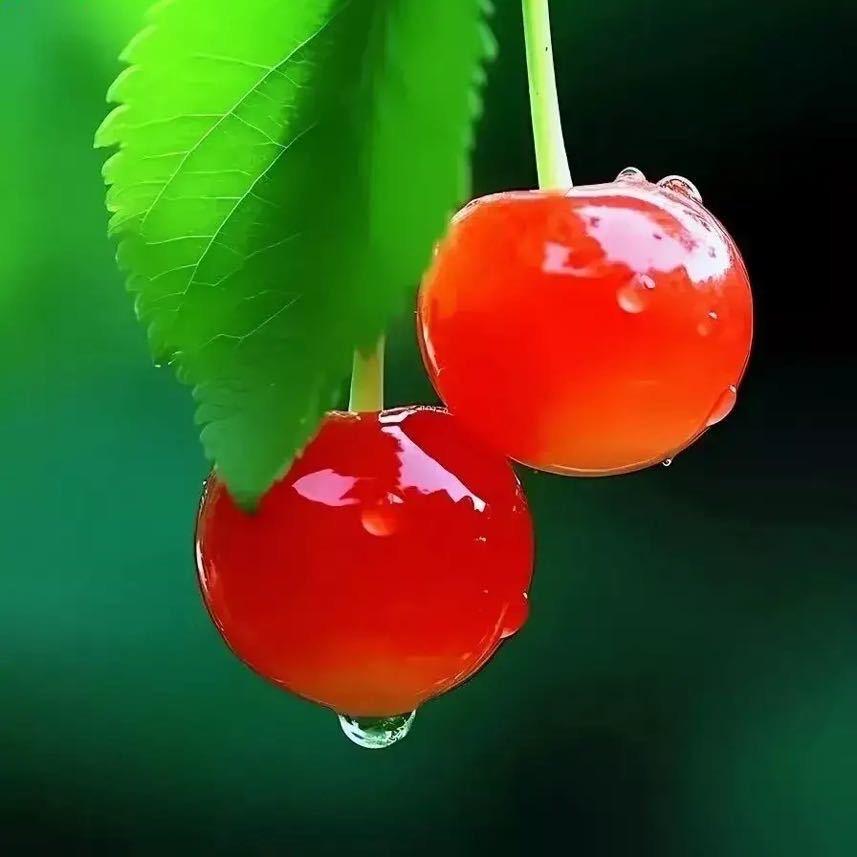 謦🍒馨