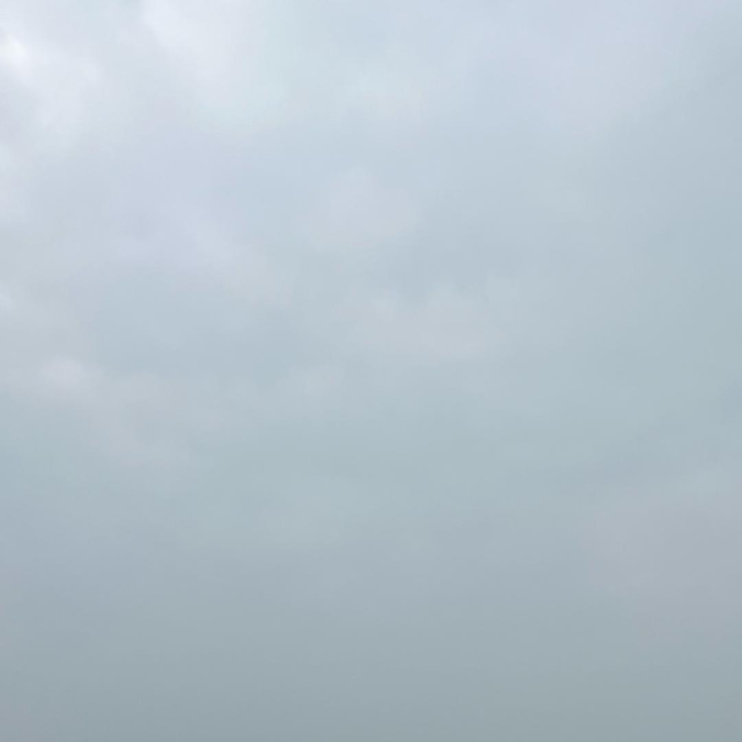 叶子说剧