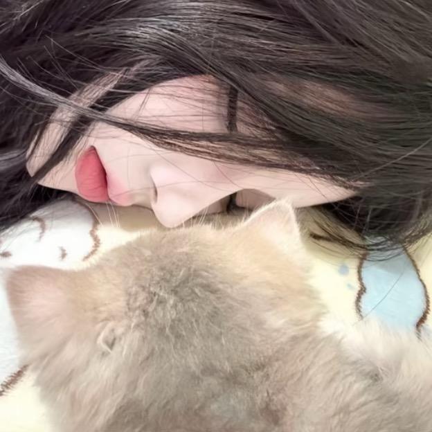 小菲猪
