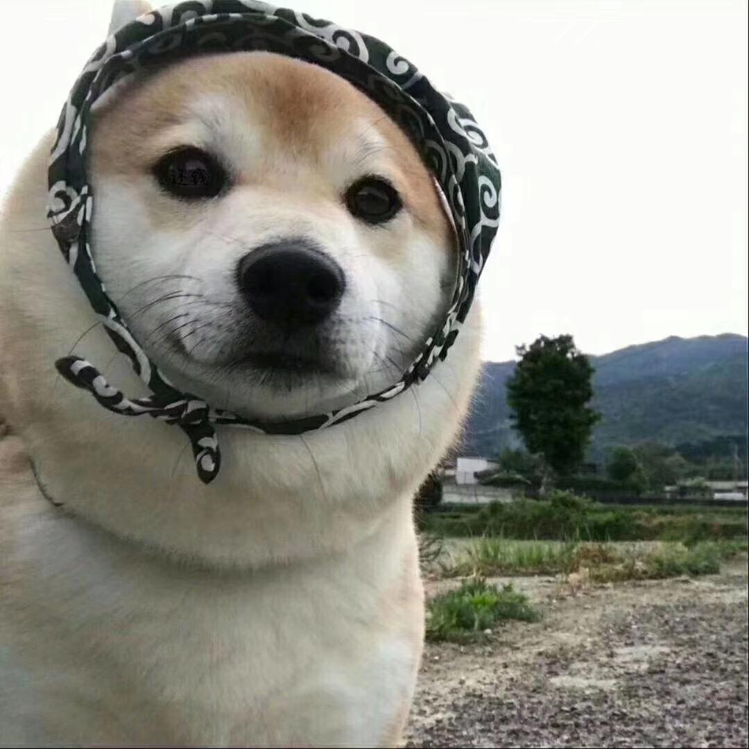 华哥卡拉咪