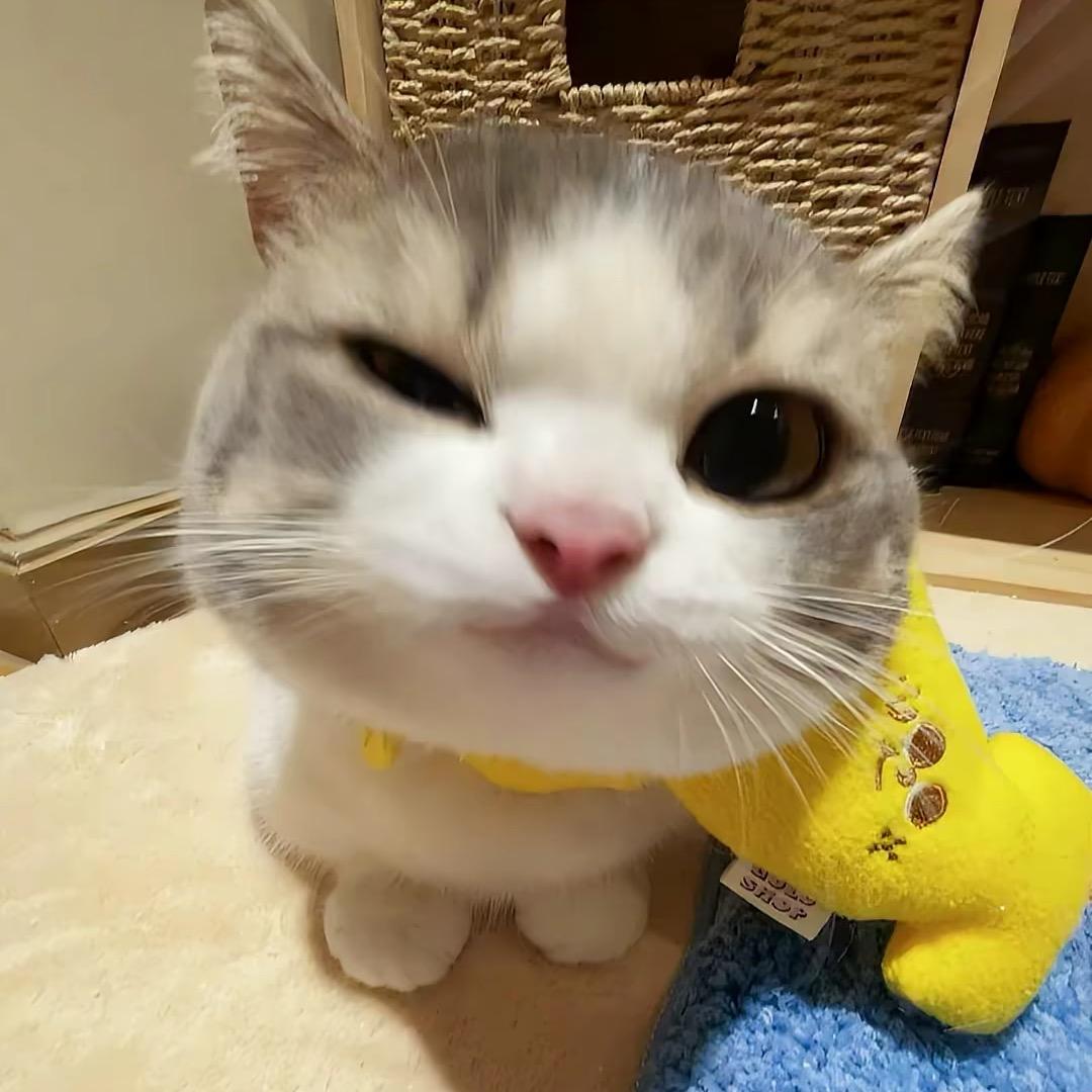 嘻嘻，