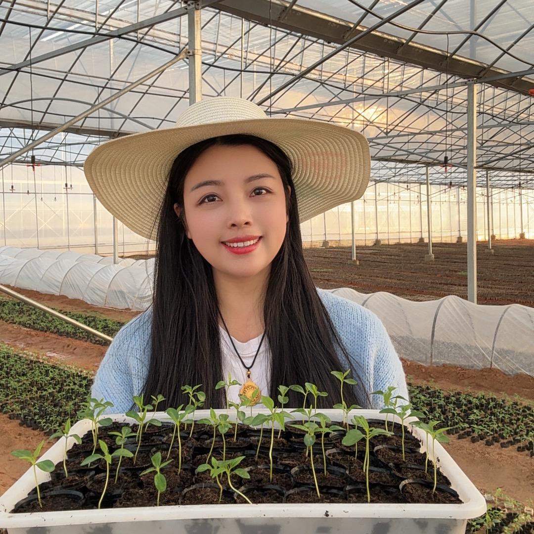 霞姐三农百货
