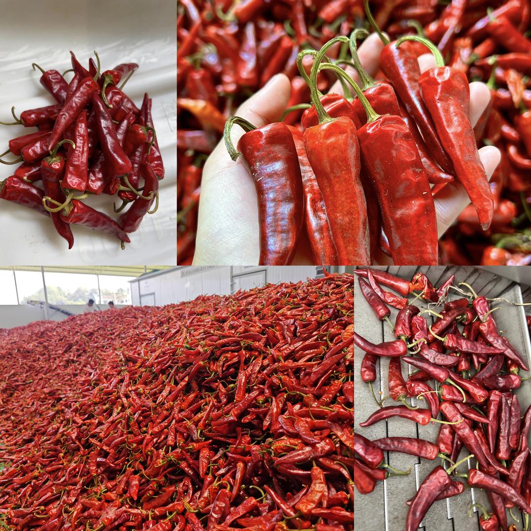 四喜辣椒石开卯精品店