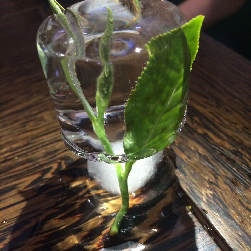 高山铁观音🍵