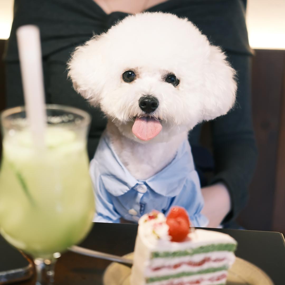 善良摇粒绒