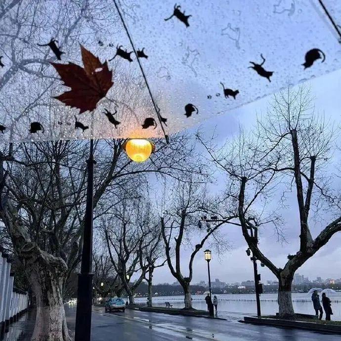 7󠇥ㅤㅤ 　ㅤㅤ