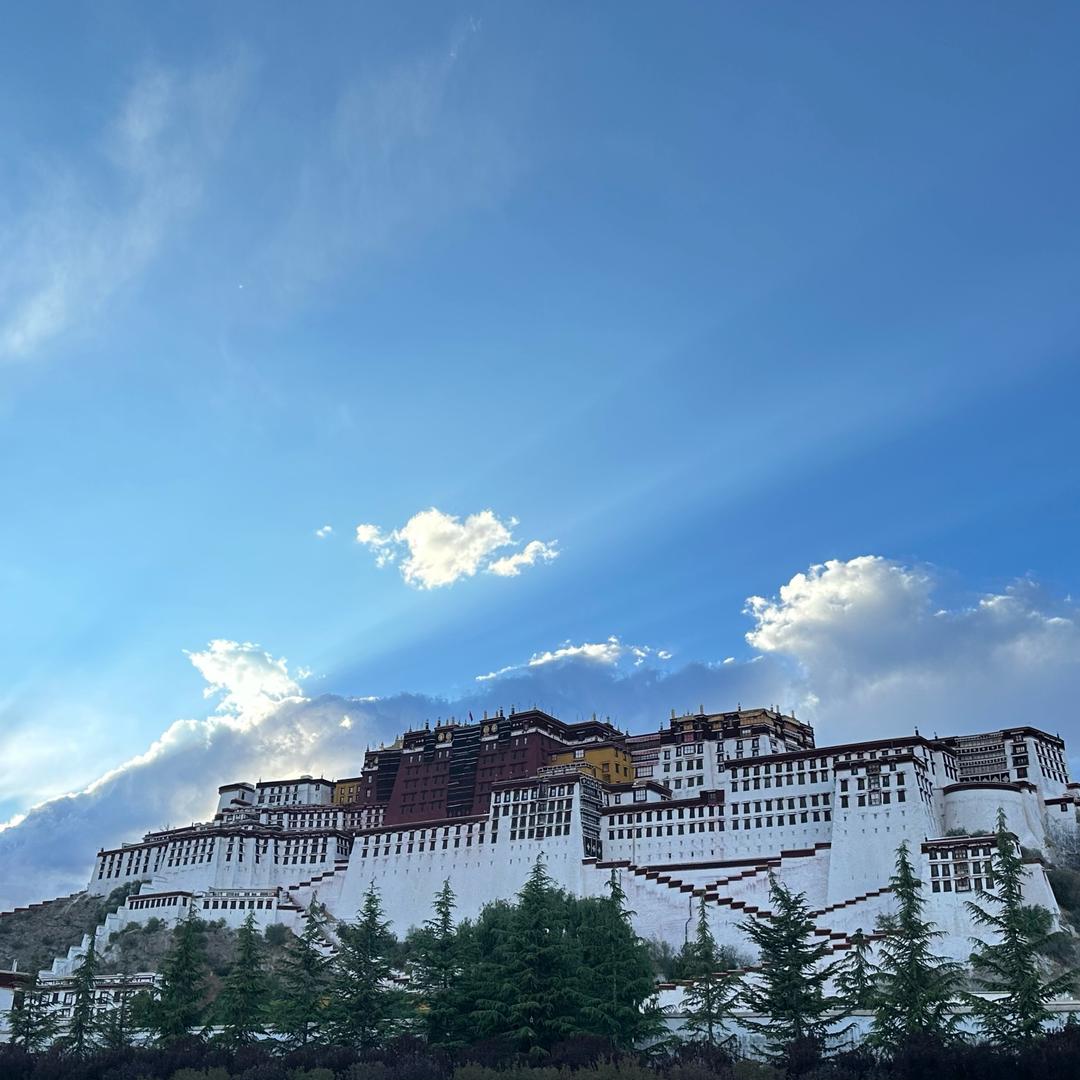无聊到想发疯