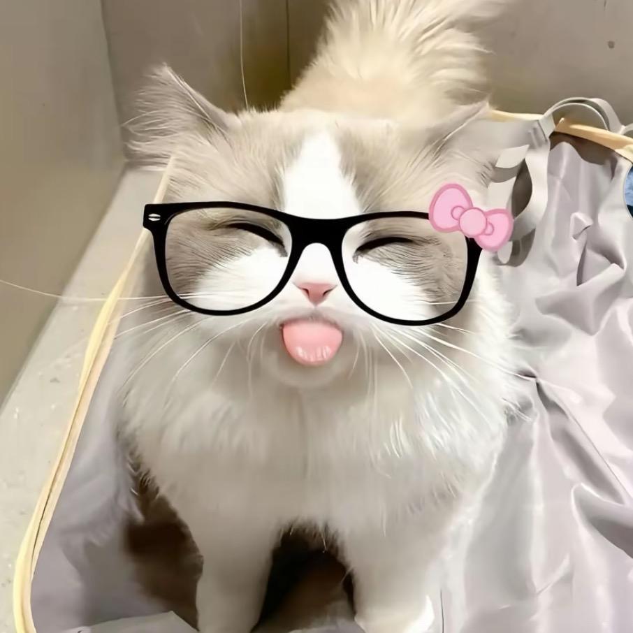 小苏🫶🌷
