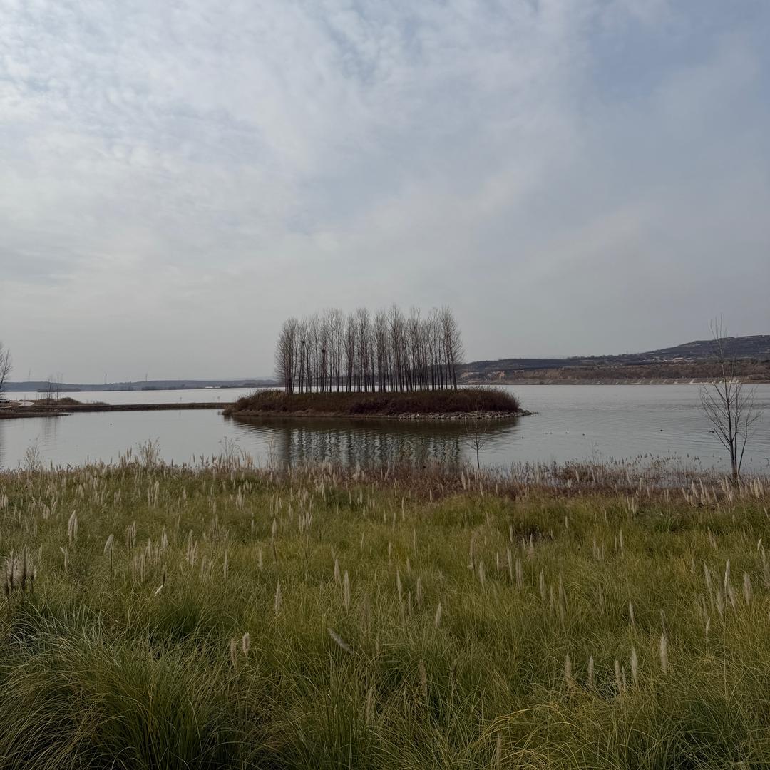 知书 达李